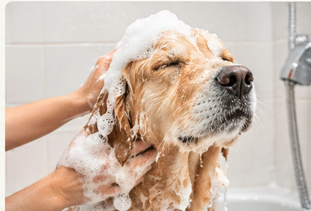 Bath Time Can Be A Challenge